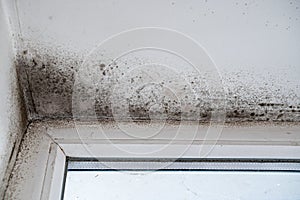 Slope near the window fungus moisture.