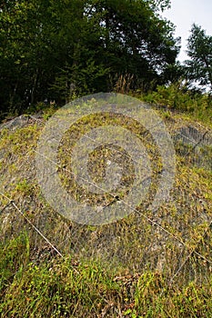 Slope Protection Netting, North East Italy