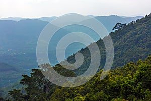 Slope of the rainforest. Yanoda Rain Forest. Hainan, China.