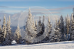 Slope for skiing and snowboarding