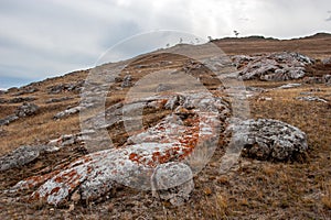 Slope with stones covered with red moss.