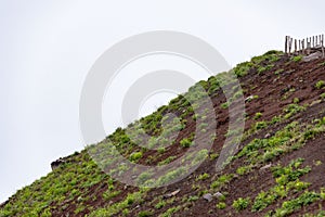 Slope of Vesuvius