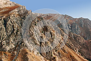 The slope of the western Tien Shan in August