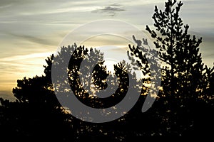 Slopes of the forests and mountains of the interior of Spain