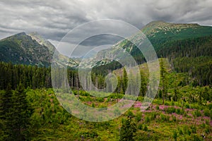 Slopes of the High tatras mountains on a stormy day, Strbske pleso, Slovakia, nature landscape