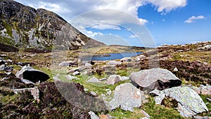 On the slopes of moel siabod snowdonia north wales