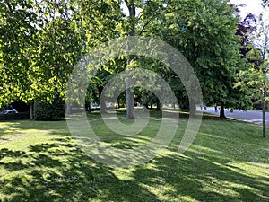 Sloping grassland, with old trees in, Lister Park, Bradford, Yorkshire, UK