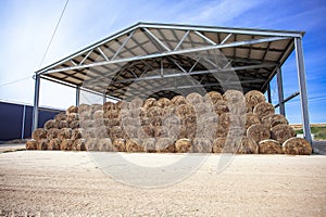 Sloping hay under a canopy. hay store photo