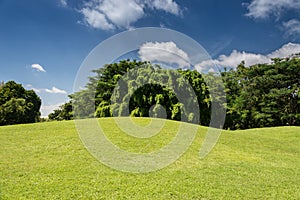 Sloping Meadows green grass