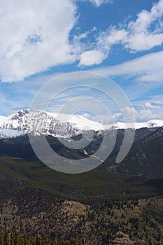 Sloping pine covered mountainsides at a scenic overlook on the Trail Ridge Road in Rocky Mountain National Park