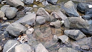 Sloping river with little water and lots of large and small rocks