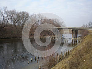 Sloping shore and water in the foreground, forest in background, autumn, Bridge West Bug