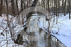 A sloping tree above the snowy creek bed.