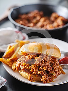 Sloppy joe sandwich on plate with french fries and ketchup