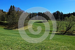 Slopy woodland and meadow landscape in Bavaria in early spring