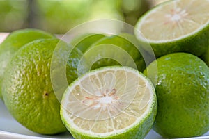 Sloseup Lime slice