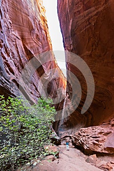 Slot canyon, Burr Trail in Utah