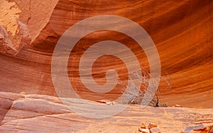 Slot canyon landscape in Page, Arizona, USA