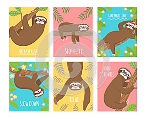 Sloth card. Cute slumber animal, sleepy lazy sloths. Child t-shirt, pajamas design