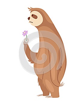 Sloth character sad conceived and with a flower. Cute cartoon sloth-bear character. Funny lazy animal, hand drawn clip