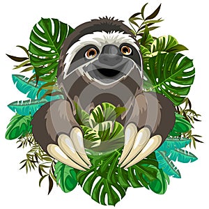 Sloth Cute Cartoon on Tropical Nature photo