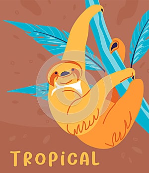 Sloth hanging on branch, tropical animals vector