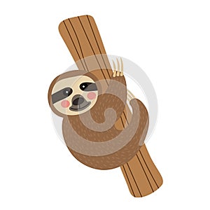 Sloth hanging on tree animal cartoon character vector illustration