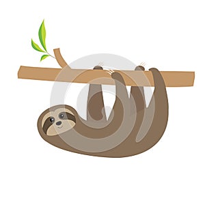 Sloth hanging on tree branch . Cute cartoon character. Wild joungle animal collection. Baby education. . White background.