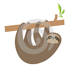 Sloth hanging on tree branch . Cute cartoon kawaii baby character. Wild jungle animal collection. Kids education. Isolated. White