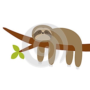 Sloth hanging on tree branch leaf. Cute cartoon kawaii funny lazy baby character. Wild joungle animal collection. Kids education.