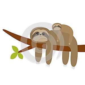 Sloth hanging on tree branch leaf. Cute cartoon kawaii funny lazy character. Mother and baby. Wild joungle animal collection. Kids