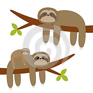 Sloth hanging on tree branch leaf. Cute cartoon kawaii funny lazy character set. Mother and baby. Wild joungle animal collection.