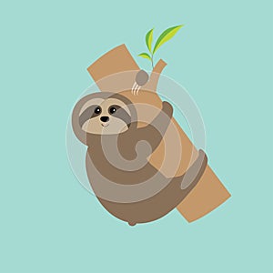 Sloth hugs tree branch. Cute cartoon character. Wild joungle animal collection. Baby education. Blue background. Flat design