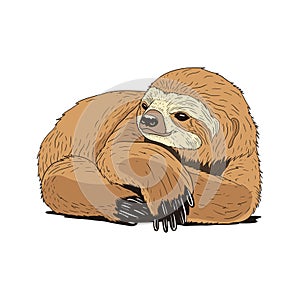 Sloth Illustration, Lying on the floor looking lazy. Vector