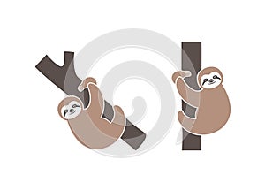 Sloth logo. Isolated sloth on white background photo