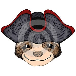 Sloth portrait. Face of cute animal. Cocked hat.