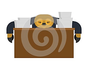 Sloth sleeping at work. lazybones at table. animal Cartoon businessman. Vector illustration