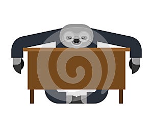 Sloth sleeping at work. lazybones at table. animal Cartoon businessman. Vector illustration