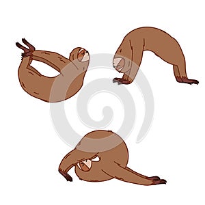 Sloth yoga_deflections
