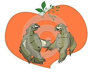 Sloths in love photo