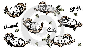 Sloths On Tree Icons Set - Vector Illustrations On White Background