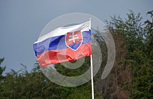 Slovak flag in the wind