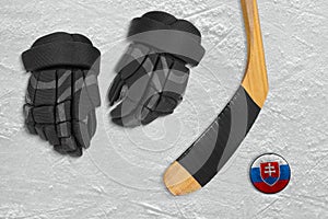 Slovak hockey puck and accessories