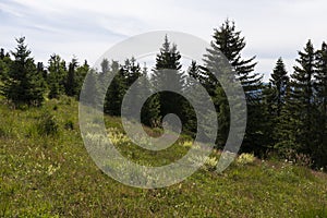 Summer Slovak Mountain Great Fatra, Velka Fatra, peaks Nova Hola 1361 m and Zvolen 1403 m, views from them, Slovakia