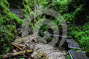 Slovak Paradise National Park, a trail in the woods. A beautiful landscape