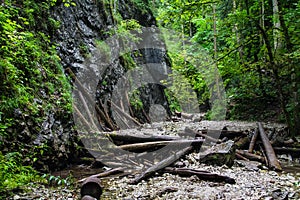 Národný park Slovenský raj, chodník v lese. Krásna krajina