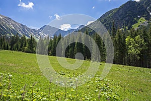 Slovak Western Tatras. Rohacska valley area