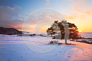 Slovak winter landscape.