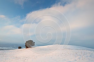 Slovak winter landscape.