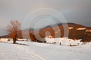 Slovak winter landscape.